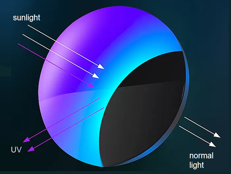 Polarized Sunglasses